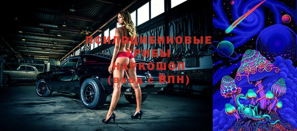 ПСИЛОЦИБИНОВЫЕ ГРИБЫ Абинск