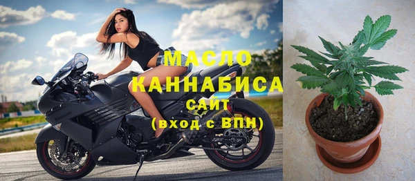 винт Сатка