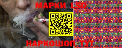 меф Гатчина