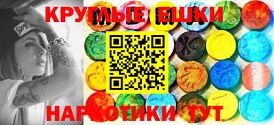 меф Гатчина