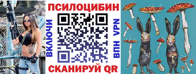 Галлюциногенные грибы Psilocybine cubensis  Ирбит 
