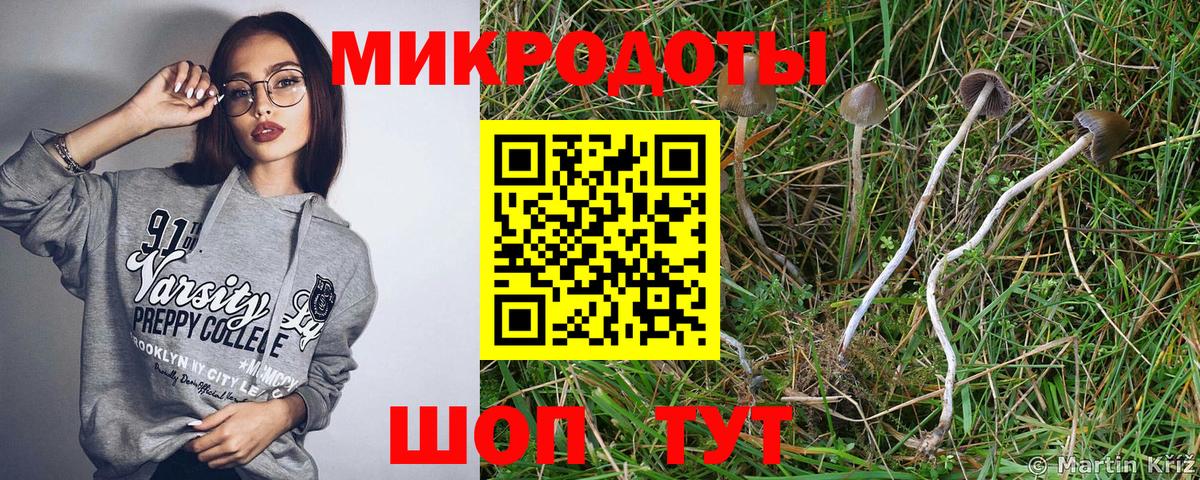 Псилоцибиновые грибы Magic Shrooms  Галлюциногенные грибы Psilocybe  Вход с VPN  Ирбит 