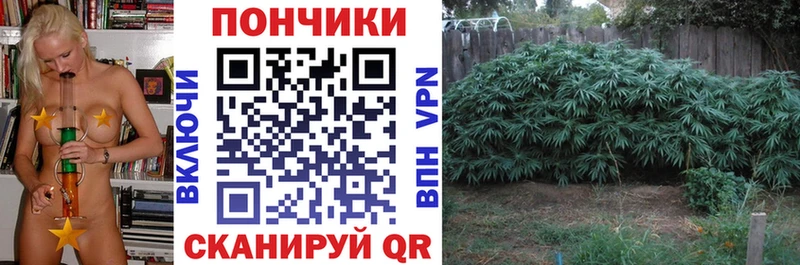 Марихуана индика  МЕГА tor  Ирбит  цены наркотик 